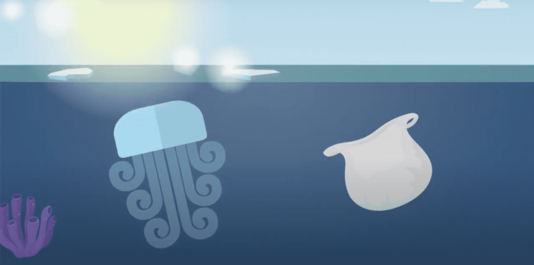 An animated image of a jellyfish in water.