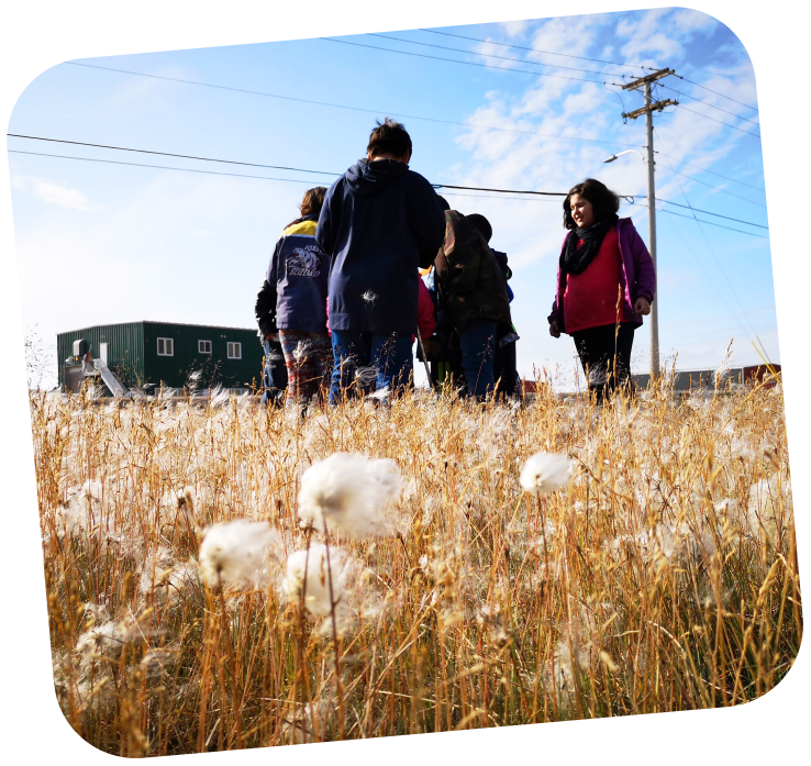 A group of students learning on the land. They are standing in yellow/brown grass, and the bright blue sky is behind them.